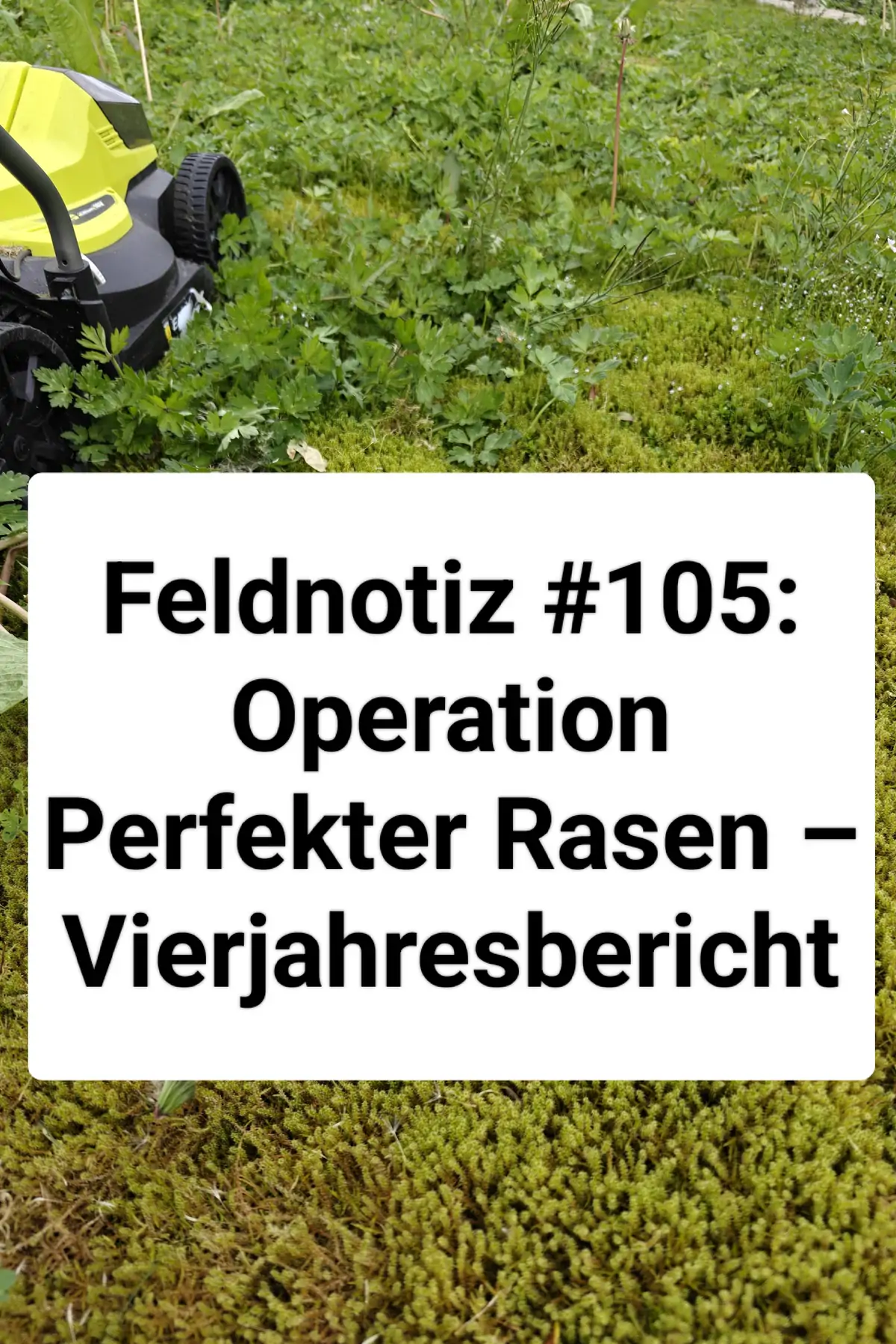 Feldnotiz #105: Operation Perfekter Rasen – Vierjahresbericht