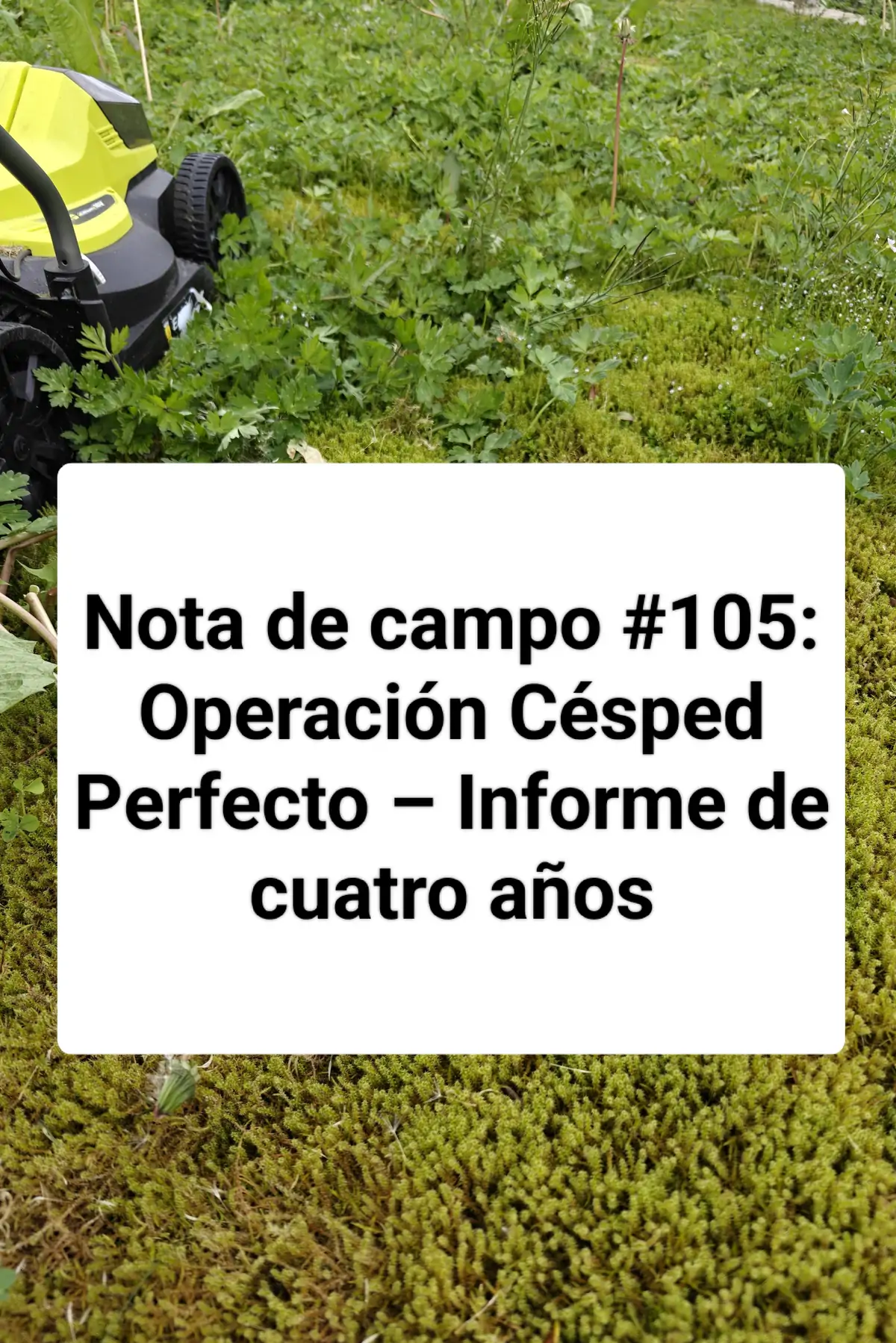 Nota de campo #105: Operación Césped Perfecto – Informe de cuatro años
